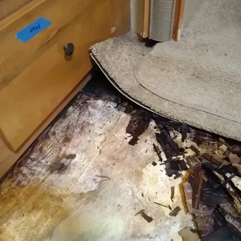 Wood Floor Water Damage in Fairfield, IL